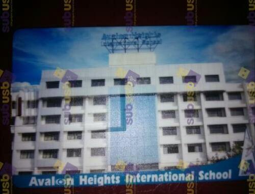 designer usb drives supplier in mumbai (4)