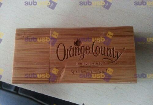 pen drive for CA classes bulk pen drive for university  (16)