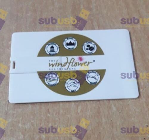 promotional usb manufacturer in Mumbai, promotional usb Manufacturer in pune, promotional usb manufacturer in Rajkot (6)