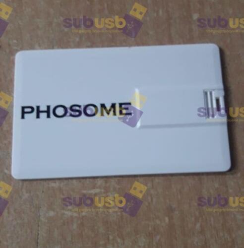 promotional usb supplier for pharma, promotional usb supplier for MNC, promotional usbs supplier for events, promotional usbs supplier for Diwali gifts (5)