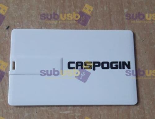 promotional usb supplier for pharma, promotional usb supplier for MNC, promotional usbs supplier for events, promotional usbs supplier for Diwali gifts (6)