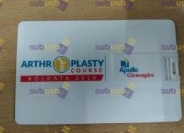 unique pen drives supplier in mumbai antique usb supplier in mumbai (11)